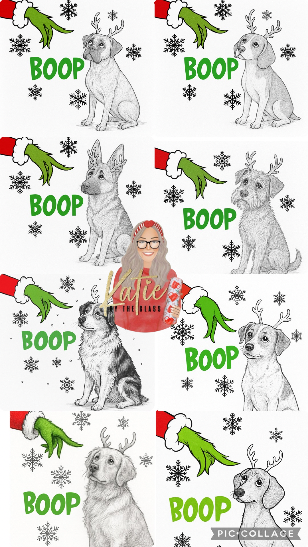 How the Snoot got BOOPed