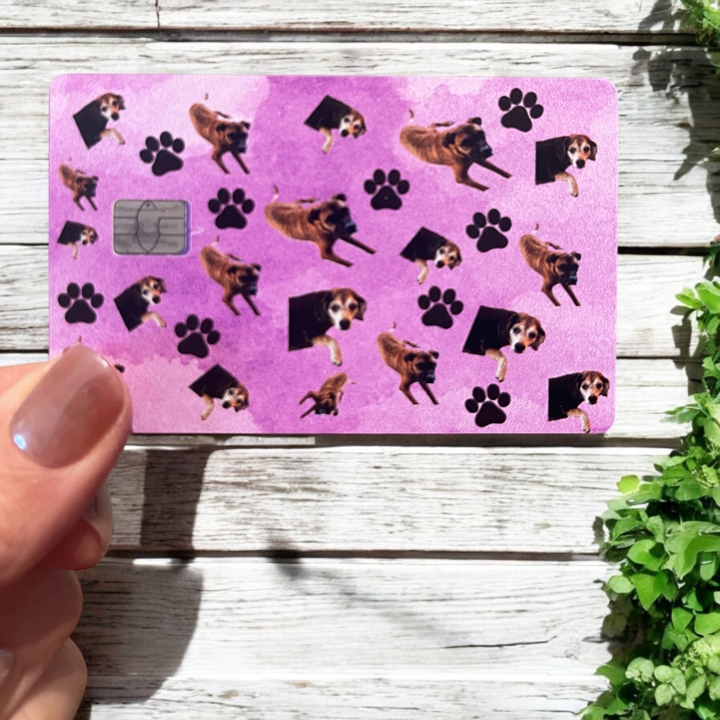 Credit Card Skin