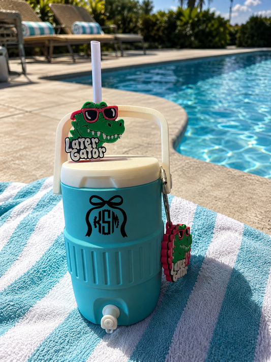3D Regular or Skinny Can Hard Koozie 12 oz