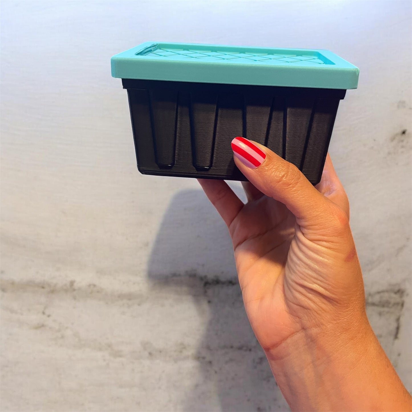 Mini Tote Storage
